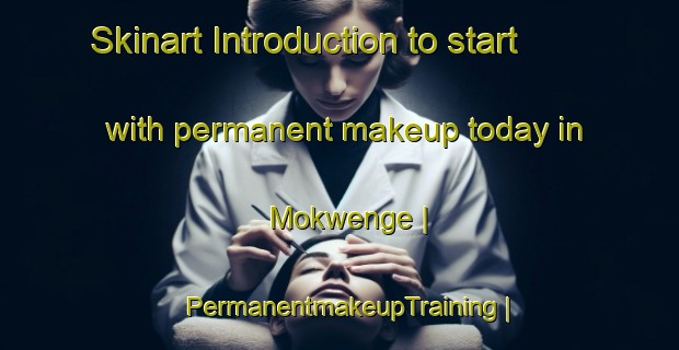 Skinart Introduction to start with permanent makeup today in Mokwenge | PermanentmakeupTraining | PermanentmakeupClasses | SkinartTraining-the Democratic Republic of the Congo